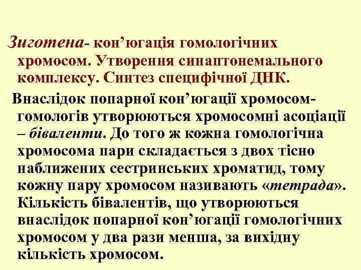  Зиготена- кон’югація гомологічних хромосом. Утворення синаптонемального комплексу. Синтез специфічної ДНК. Внаслідок попарної кон’югації