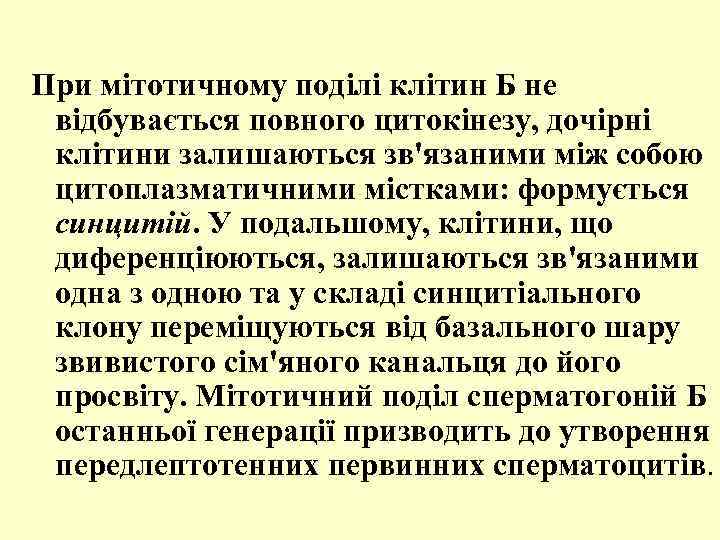 При мітотичному поділі клітин Б не відбувається повного цитокінезу, дочірні клітини залишаються зв'язаними між