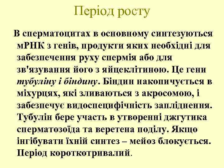 Період росту В сперматоцитах в основному синтезуються м. РНК з генів, продукти яких необхідні