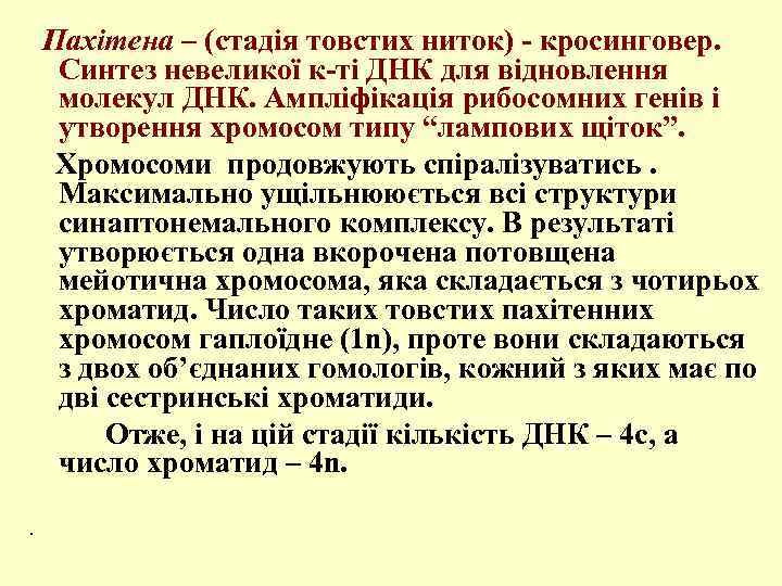  Пахітена – (стадія товстих ниток) - кросинговер. Синтез невеликої к-ті ДНК для відновлення