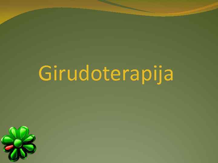 Girudoterapija 