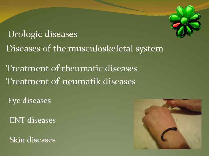 Urologic diseases Diseases of the musculoskeletal system Treatment of rheumatic diseases Treatment of-neumatik diseases