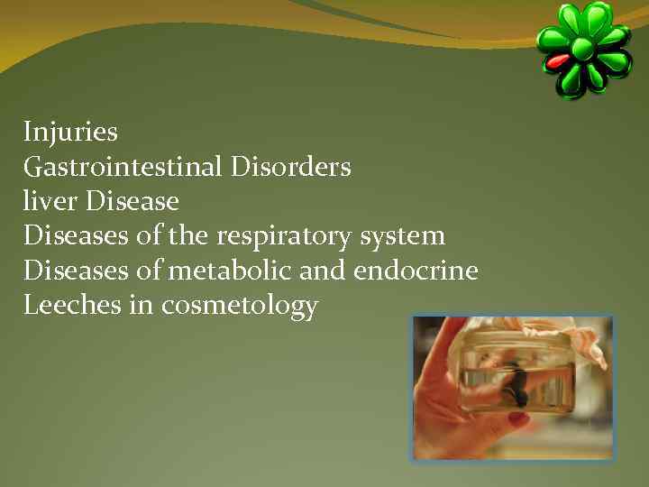 Injuries Gastrointestinal Disorders liver Diseases of the respiratory system Diseases of metabolic and endocrine