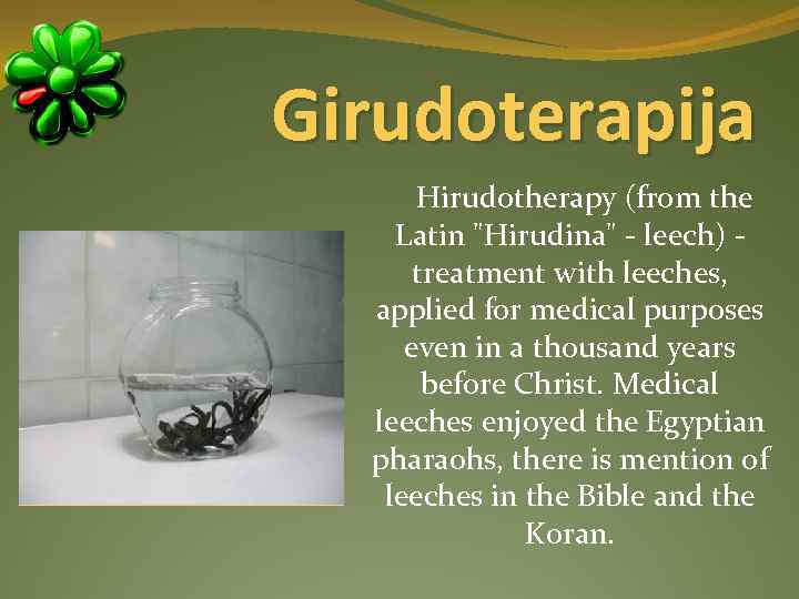 Girudoterapija Hirudotherapy (from the Latin 