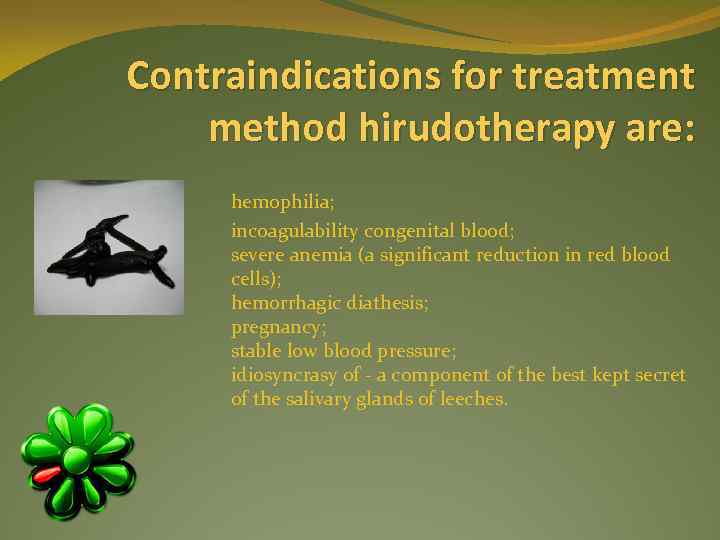 Contraindications for treatment method hirudotherapy are: hemophilia; incoagulability congenital blood; severe anemia (a significant