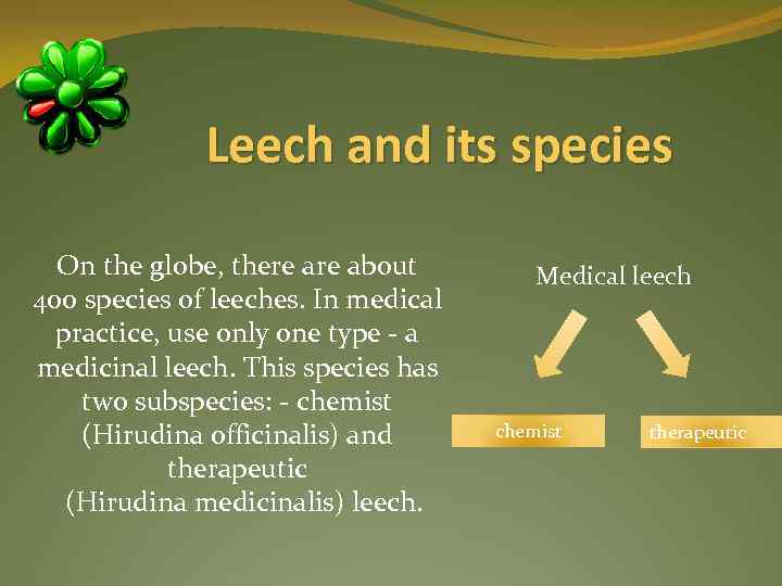 Leech and its species On the globe, there about 400 species of leeches. In