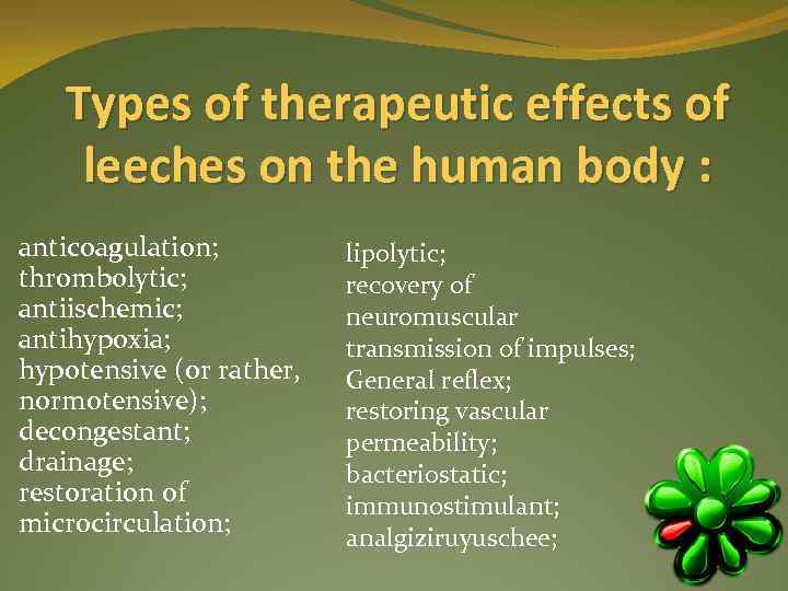 Types of therapeutic effects of leeches on the human body : anticoagulation; thrombolytic; antiischemic;