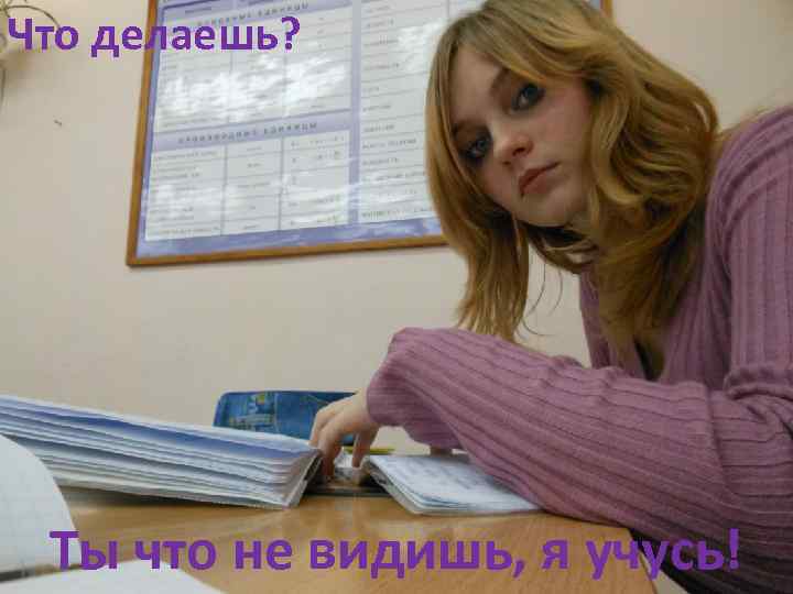 Что делаешь? Ты что не видишь, я учусь! 