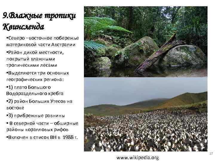 9. Влажные тропики Квинсленда • Северо –восточное побережье материковой части Австралии • Район дикой