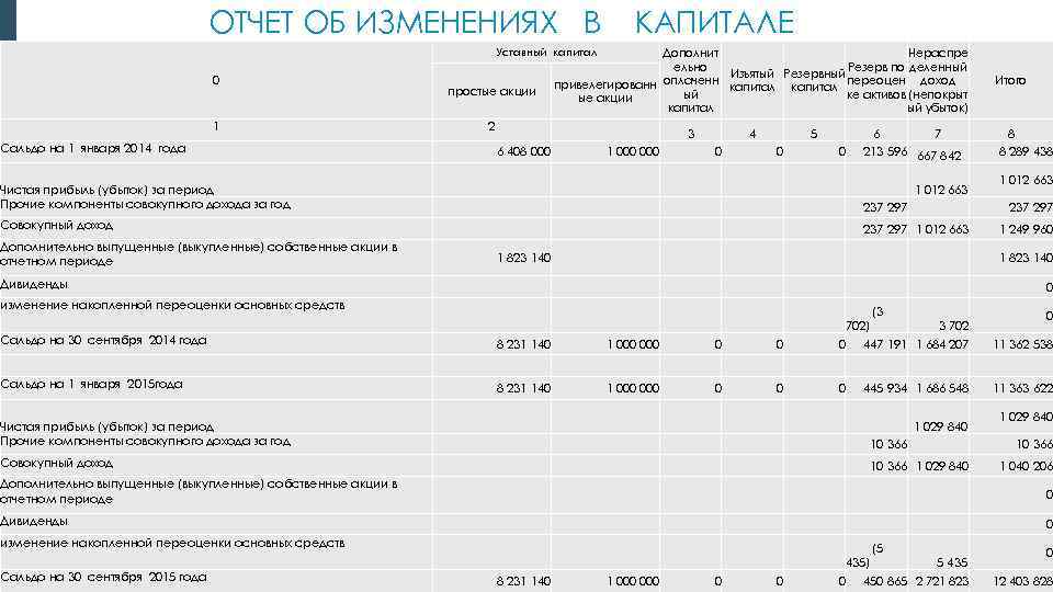 ОТЧЕТ ОБ ИЗМЕНЕНИЯХ В КАПИТАЛЕ Уставный капитал 0 простые акции 1 2 Сальдо на