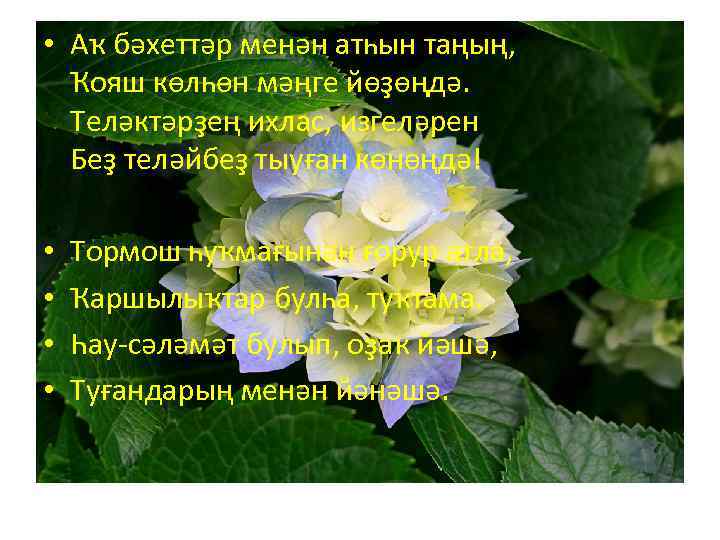  • Аҡ бәхеттәр менән атһын таңың, Ҡояш көлһөн мәңге йөҙөңдә. Теләктәрҙең ихлас, изгеләрен