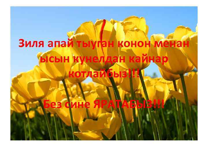 Зиля апай тыуган конон менан ысын кунелдан кайнар котлайбыз!!! Без сине ЯРАТАБЫЗ!!! 