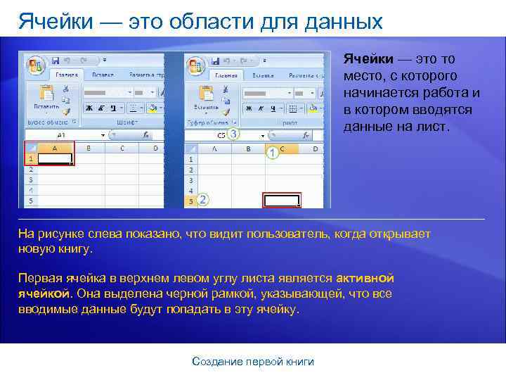 Ячейки — это области для данных Ячейки — это то место, с которого начинается