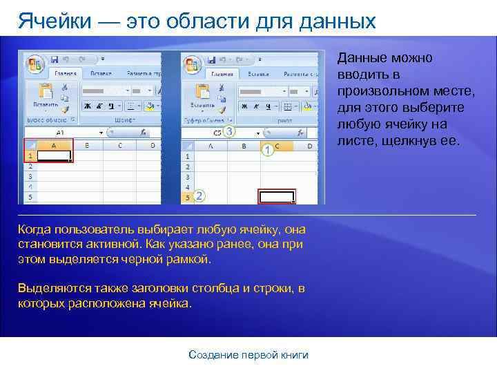 Ячейки — это области для данных Данные можно вводить в произвольном месте, для этого