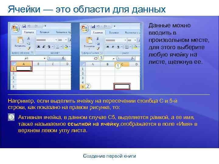 Ячейки — это области для данных Данные можно вводить в произвольном месте, для этого