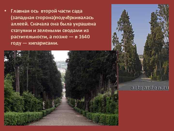  • Главная ось второй части сада (западная сторона)подчёркивалась аллеей. Сначала она была украшена