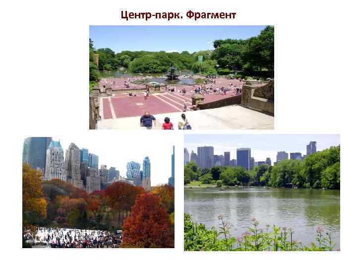 Центр-парк. Фрагмент 