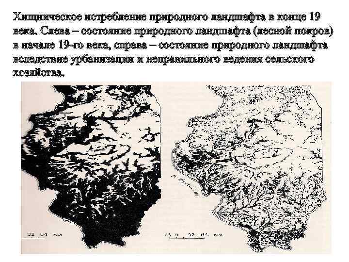 Хищническое истребление природного ландшафта в конце 19 века. Слева – состояние природного ландшафта (лесной