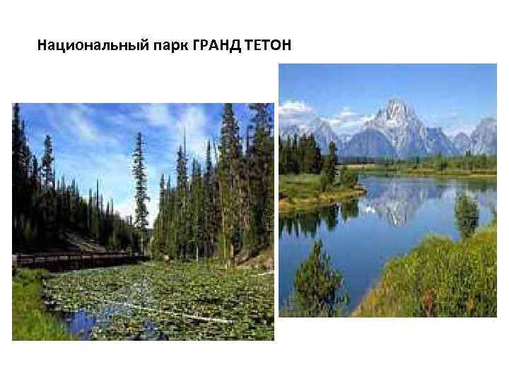 Национальный парк ГРАНД ТЕТОН 