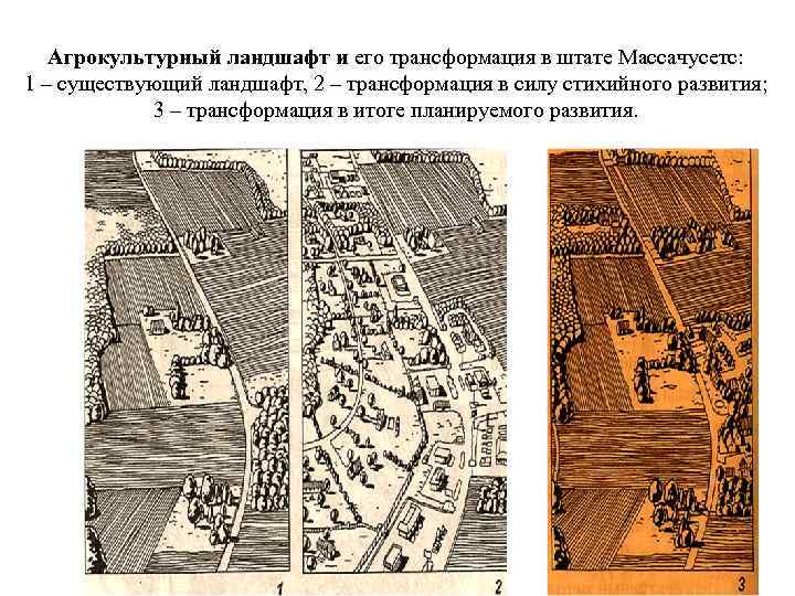 Агрокультурный ландшафт и его трансформация в штате Массачусетс: 1 – существующий ландшафт, 2 –