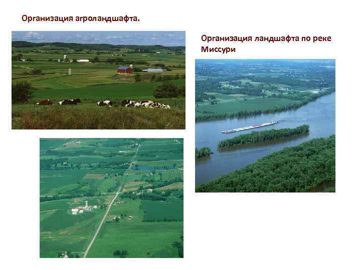 Организация агроландшафта Организация ландшафта по реке Миссури 