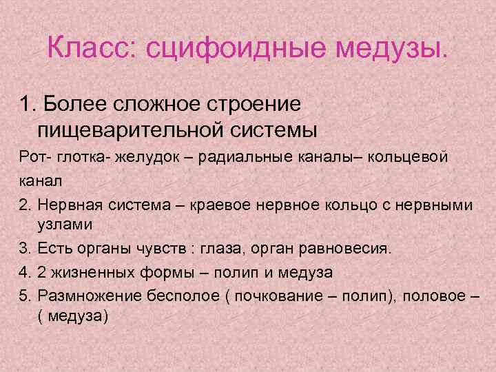 Класс: сцифоидные медузы. 1. Более сложное строение пищеварительной системы Рот- глотка- желудок – радиальные