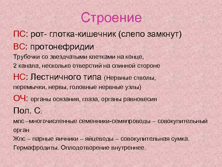 Строение ПС: рот- глотка-кишечник (слепо замкнут) ВС: протонефридии Трубочки со звездчатыми клетками на конце,