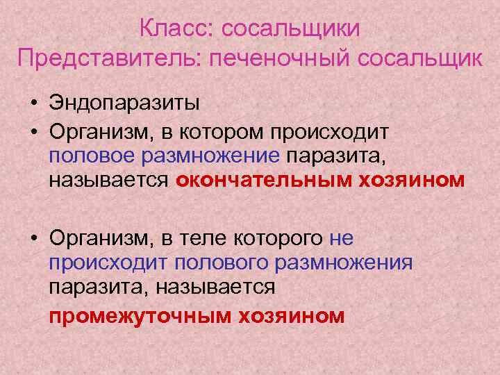 Класс: сосальщики Представитель: печеночный сосальщик • Эндопаразиты • Организм, в котором происходит половое размножение