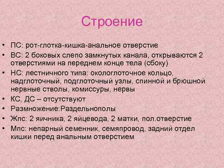 Строение • ПС: рот-глотка-кишка-анальное отверстие • ВС: 2 боковых слепо замкнутых канала, открываются 2