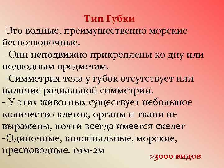 Тип Губки -Это водные, преимущественно морские беспозвоночные. - Они неподвижно прикреплены ко дну или
