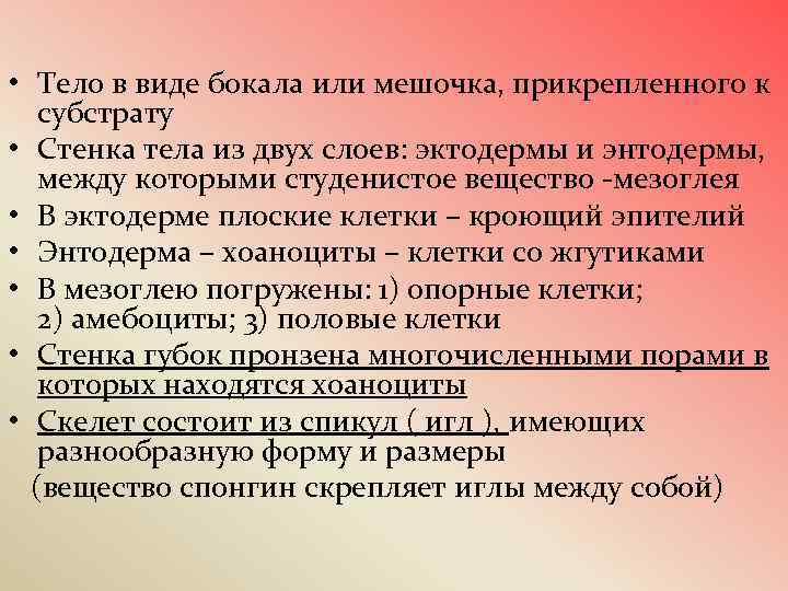  • Тело в виде бокала или мешочка, прикрепленного к субстрату • Стенка тела