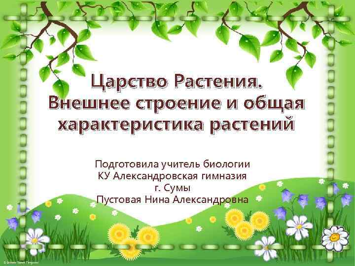 Царство Растения. Внешнее строение и общая характеристика растений Подготовила учитель биологии КУ Александровская гимназия