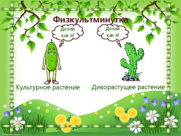 Физкультминутка Делай как я! Культурное растение Делай как я! Дикорастущее растение 