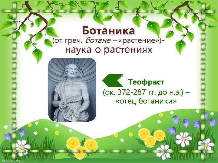 Ботаника (от греч. ботане – «растение» )- наука о растениях Теофраст (ок. 372 -287