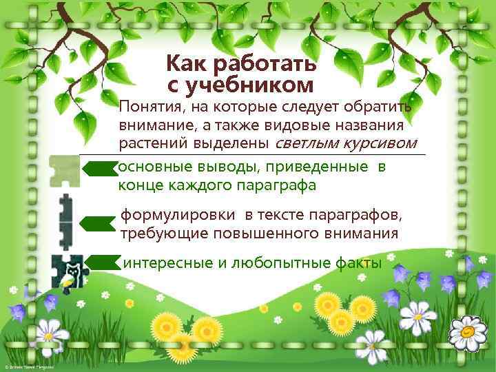 Как работать с учебником Понятия, на которые следует обратить внимание, а также видовые названия