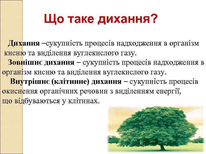 Що таке дихання? Дихання –сукупність процесів надходження в організм кисню та виділення вуглекислого газу.