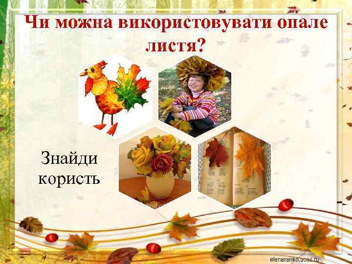 Чи можна використовувати опале листя? Знайди користь 