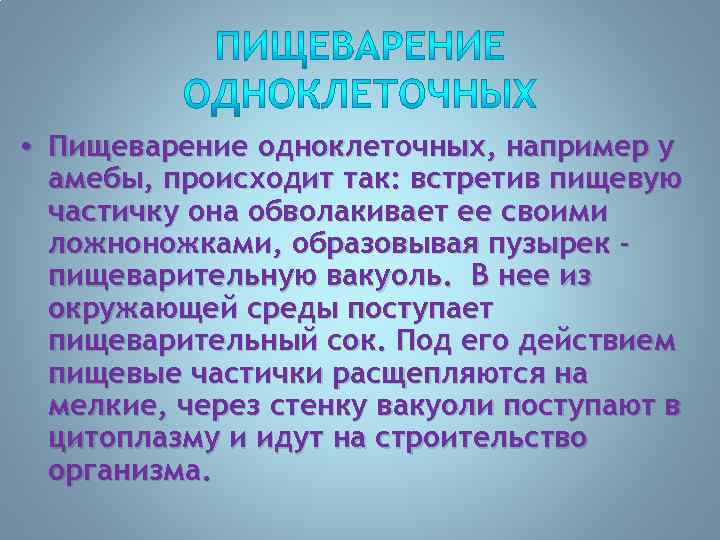  • Пищеварение одноклеточных, например у амебы, происходит так: встретив пищевую частичку она обволакивает
