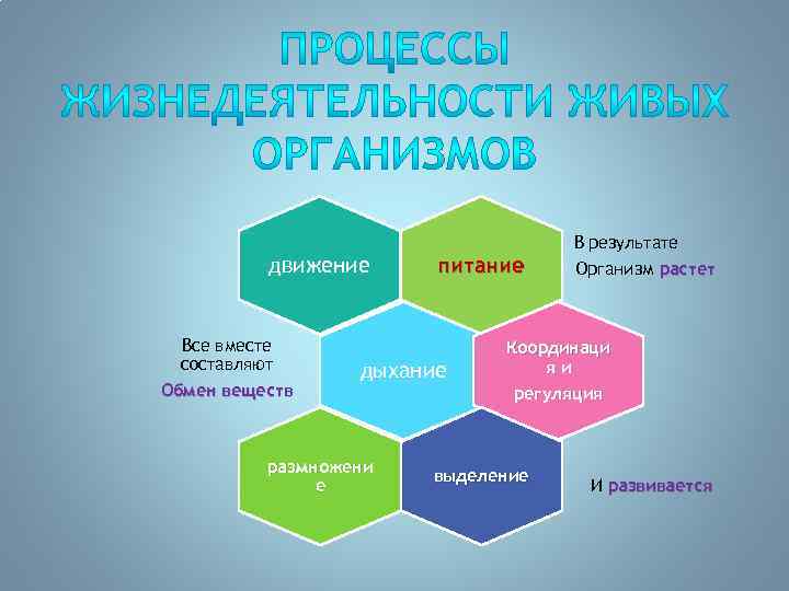 движение Все вместе составляют Обмен веществ питание дыхание размножени е В результате Организм растет