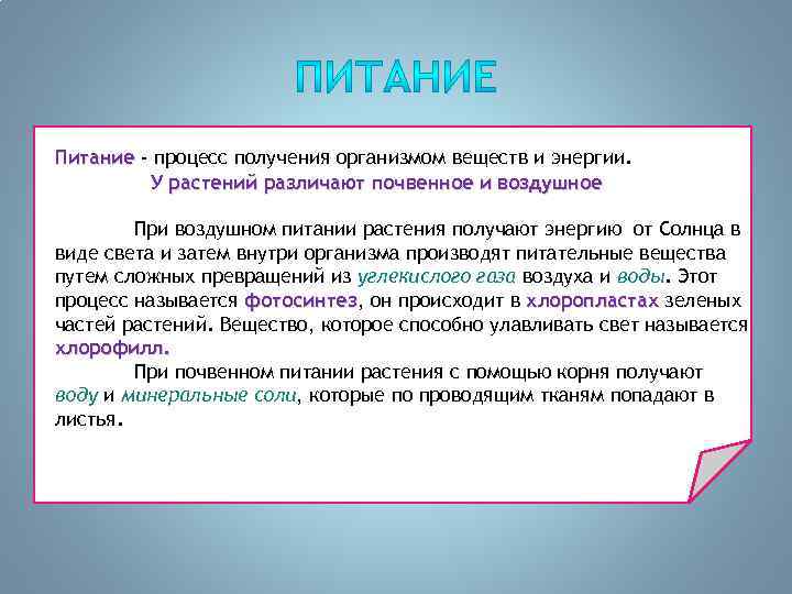 Питаться вещество. Питание это процесс. Питание это процесс получения организмом. Питание это процесс получения организмом веществ и энергии. Процесс получения организмами веществ и энергии называется.