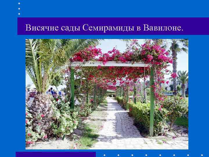 Висячие сады Семирамиды в Вавилоне. 