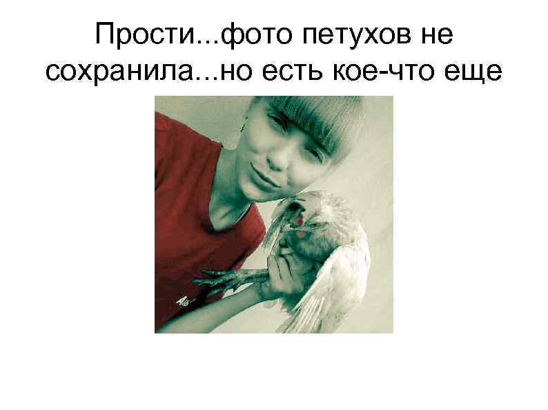 Прости. . . фото петухов не сохранила. . . но есть кое-что еще 