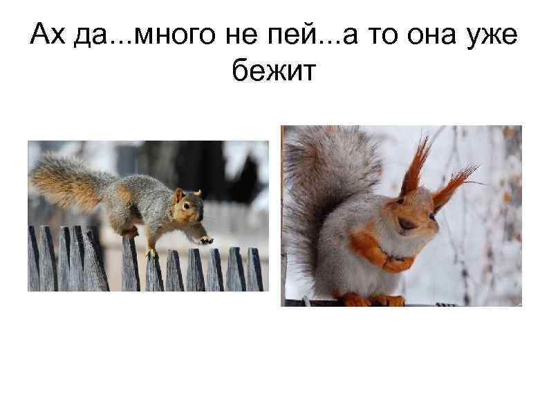 Ах да. . . много не пей. . . а то она уже бежит