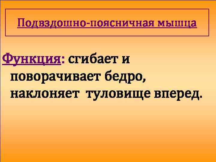 Подвздошно-поясничная мышца Функция: сгибает и поворачивает бедро, наклоняет туловище вперед. 