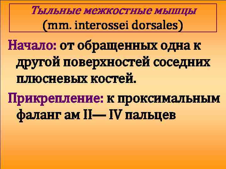 Тыльные межкостные мышцы (mm. interossei dorsales) Начало: от обращенных одна к другой поверхностей соседних