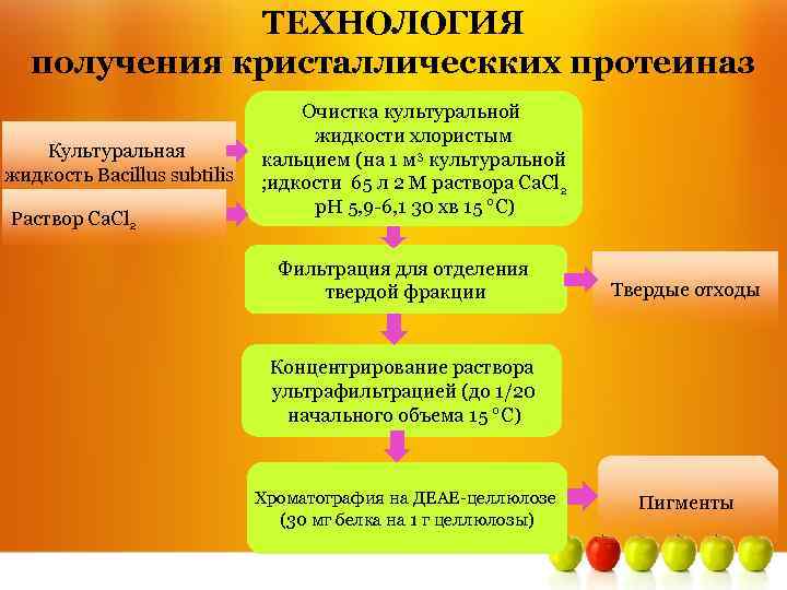 ТЕХНОЛОГИЯ получения кристаллическких протеиназ Культуральная жидкость Bacillus subtilis Раствор Са. Cl 2 Очистка культуральной