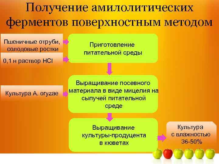 Получение амилолитических ферментов поверхностным методом Пшеничные отруби, солодовые ростки Приготовление питательной среды 0, 1