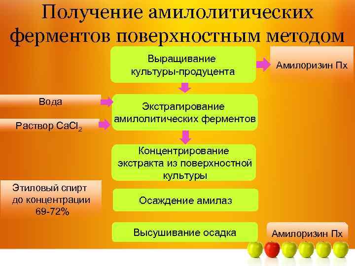 Получение амилолитических ферментов поверхностным методом Выращивание культуры-продуцента Вода Раствор Ca. Cl 2 Амилоризин Пх