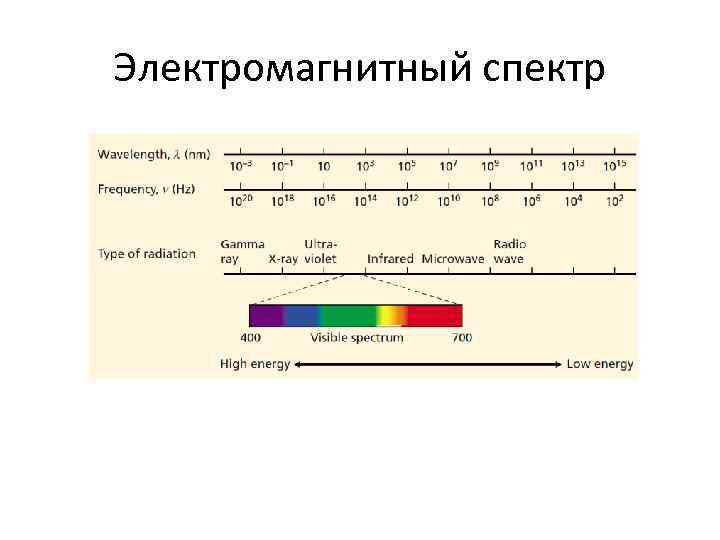 Электромагнитный спектр 