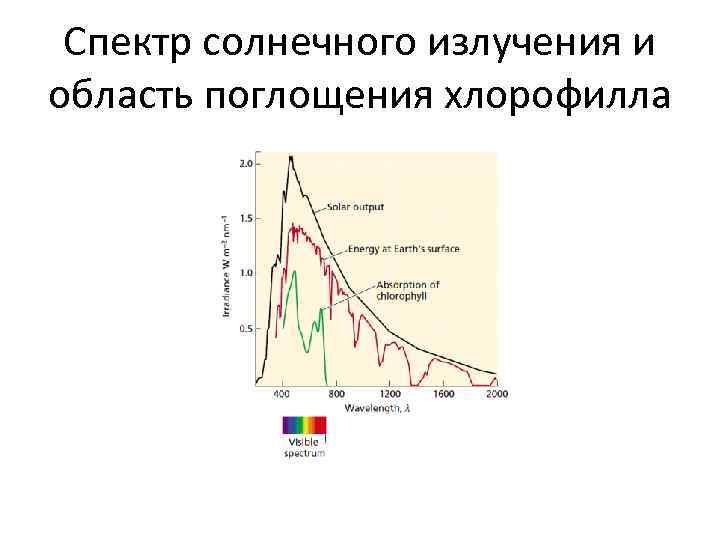 Спектр солнечного излучения и область поглощения хлорофилла 